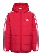 3-Stripes Padded Jacket Kids Red Adidas Sportswear