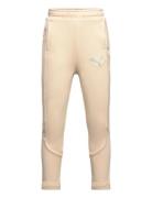 Evostripe Pants B Beige PUMA