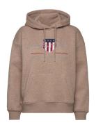 Rel Archive Shield Hoodie Brown GANT