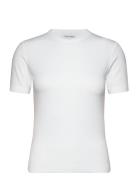 Modal Rib Ss Tee White Calvin Klein