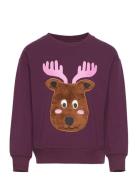 Sweater Placement Forest Purple Lindex