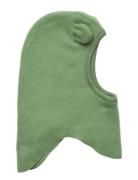 Urso Green Molo