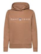 Reg Printed Graphic Hoodie Brown GANT