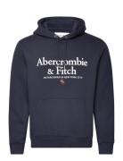 Anf Mens Sweatshirts Navy Abercrombie & Fitch
