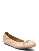 Acor24Ns Beige UNISA