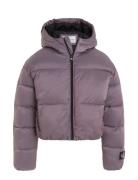 Hyper Two T Padded Bomber Purple Calvin Klein