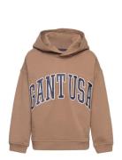 Over D Gant Usa Sweat Hoodie Brown GANT