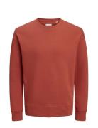 Jjestar Basic Sweat Crew Neck Red Jack & J S