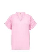 Sc-Calypso Pink Soyaconcept