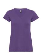 Cupoppy V-Neck T-Shirt Purple Culture