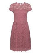 Vikalila Capsleeve Lace Dress Pink Vila