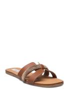 Edriah Sandal Brown Steve Madden