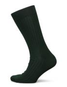 Forrest Green Ribbed Socks Green AN IVY