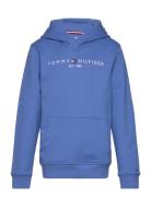 U Essential Hoodie Blue Tommy Hilfiger