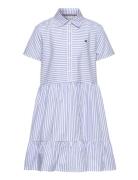 Ithaca Stripe Dress Blue Tommy Hilfiger