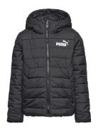 Ess Hooded Padded Jacket Black PUMA