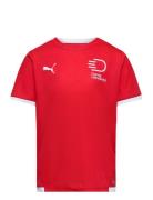 Teamliga Jersey Jr Red PUMA