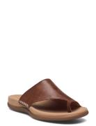 Slip-In Brown Gabor