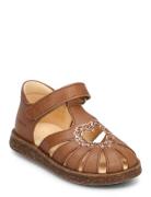 Sandals - Flat - Closed Toe - Brown ANGULUS