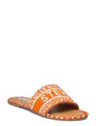 Verah Sandal Orange Steve Madden