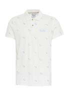 Polo White Blend