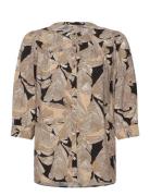 Sc-Dauphin Brown Soyaconcept