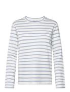Striped Ls T-Shirt Blue GANT