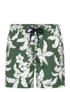 Palm Lei Print Swim Shorts Green GANT