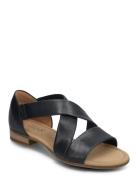 Flat Sandal Navy Gabor