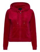 Robertson Class Red Juicy Couture