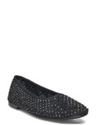 Marli Ballerinas Black Steve Madden