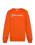 Crewneck Sweatshirt Orange Champion