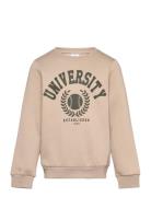 Nkntille Ls Sweat Bru Noos Beige Name It