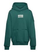 Cnvn Relaxed Flc Po Hoodie / Cnvn Relaxed Flc Po Hoodie Green Converse