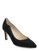 Pumps Black Gabor