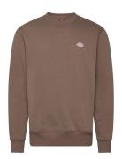 Summerdale Sweatshirt Brown Dickies