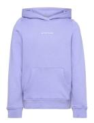 Logo Hoodie Purple Tom Tailor