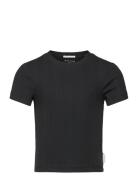 Cropped Rib T-Shirt Black Tom Tailor