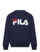 Babina Greda Navy FILA