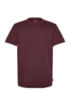 Hco. Guys Knits Burgundy Hollister