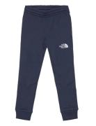 Teen Slim Fit Joggers Navy The North Face