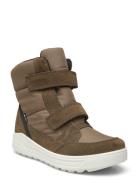 Urban Snowboarder Khaki ECCO