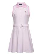 Belted Striped Knit Oxford Polo Dress Pink Ralph Lauren Kids