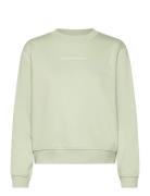 Institutional Crew Neck Green Calvin Klein Jeans