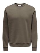 Onsceres Life Crew Neck Brown ONLY & SONS