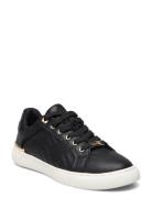 Iconispec Black ALDO