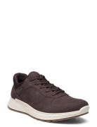 Exostride M Brown ECCO