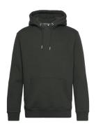 Essential Logo Hoodie Green Superdry