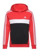 J 3S Tib Fl Hd Red Adidas Sportswear