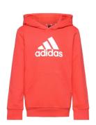 U Bl Hoodie Red Adidas Sportswear